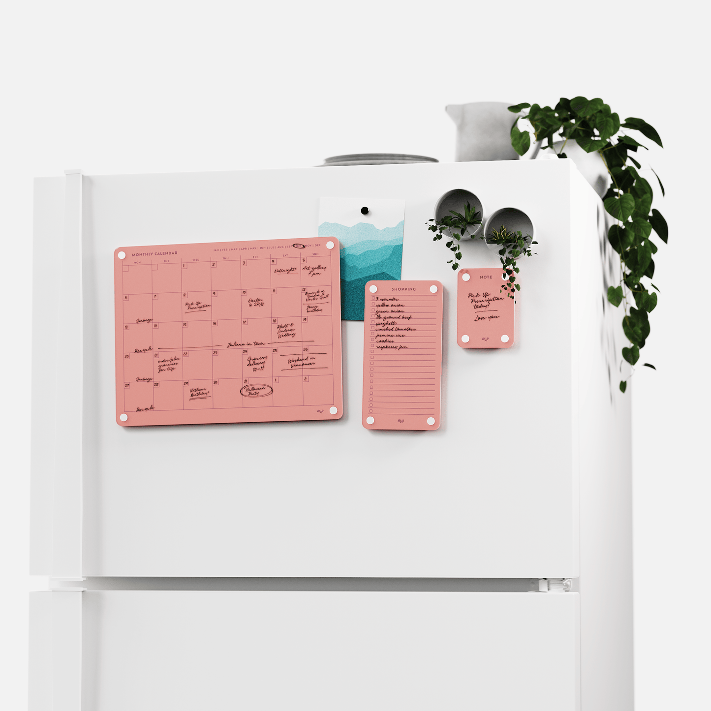 Everyday Home Bundle