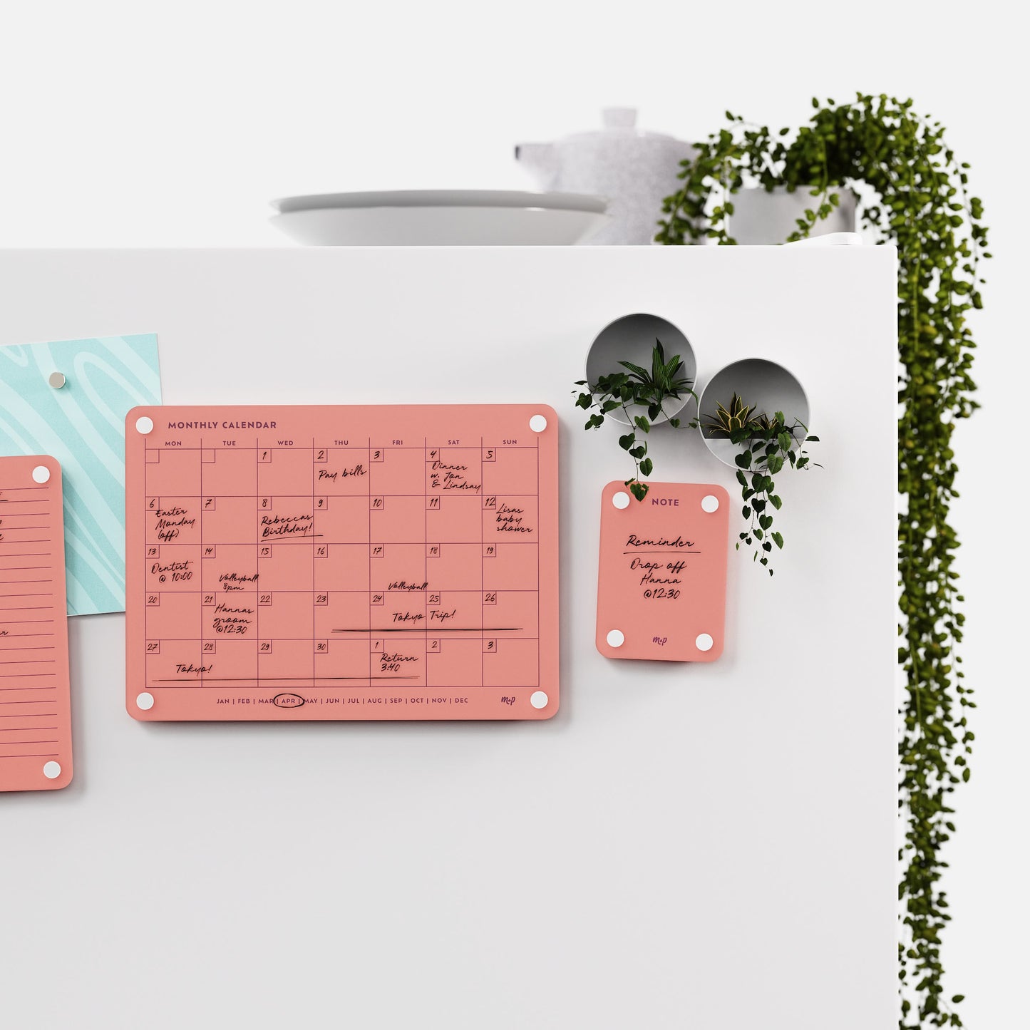 Everyday Home Bundle