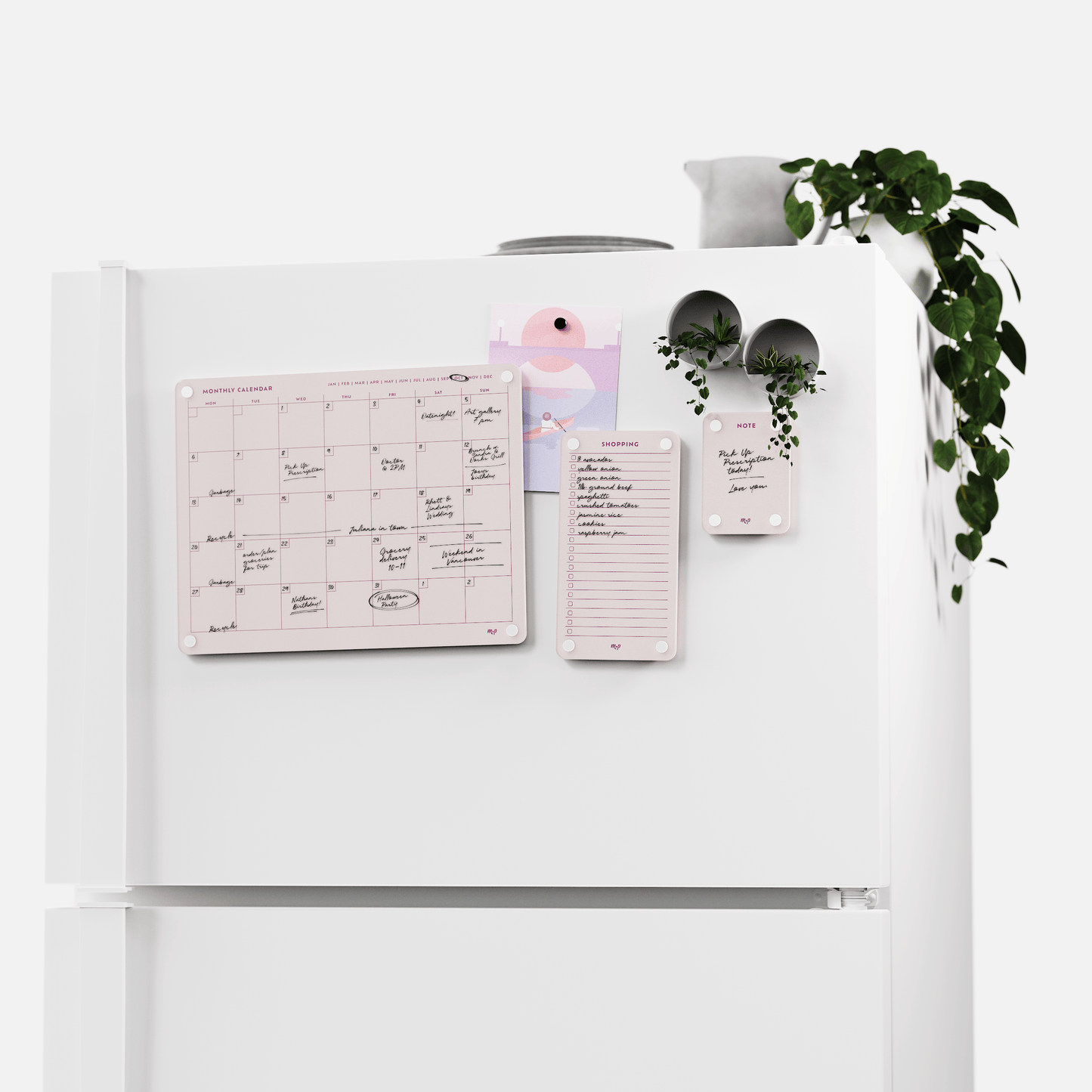 Everyday Home Bundle