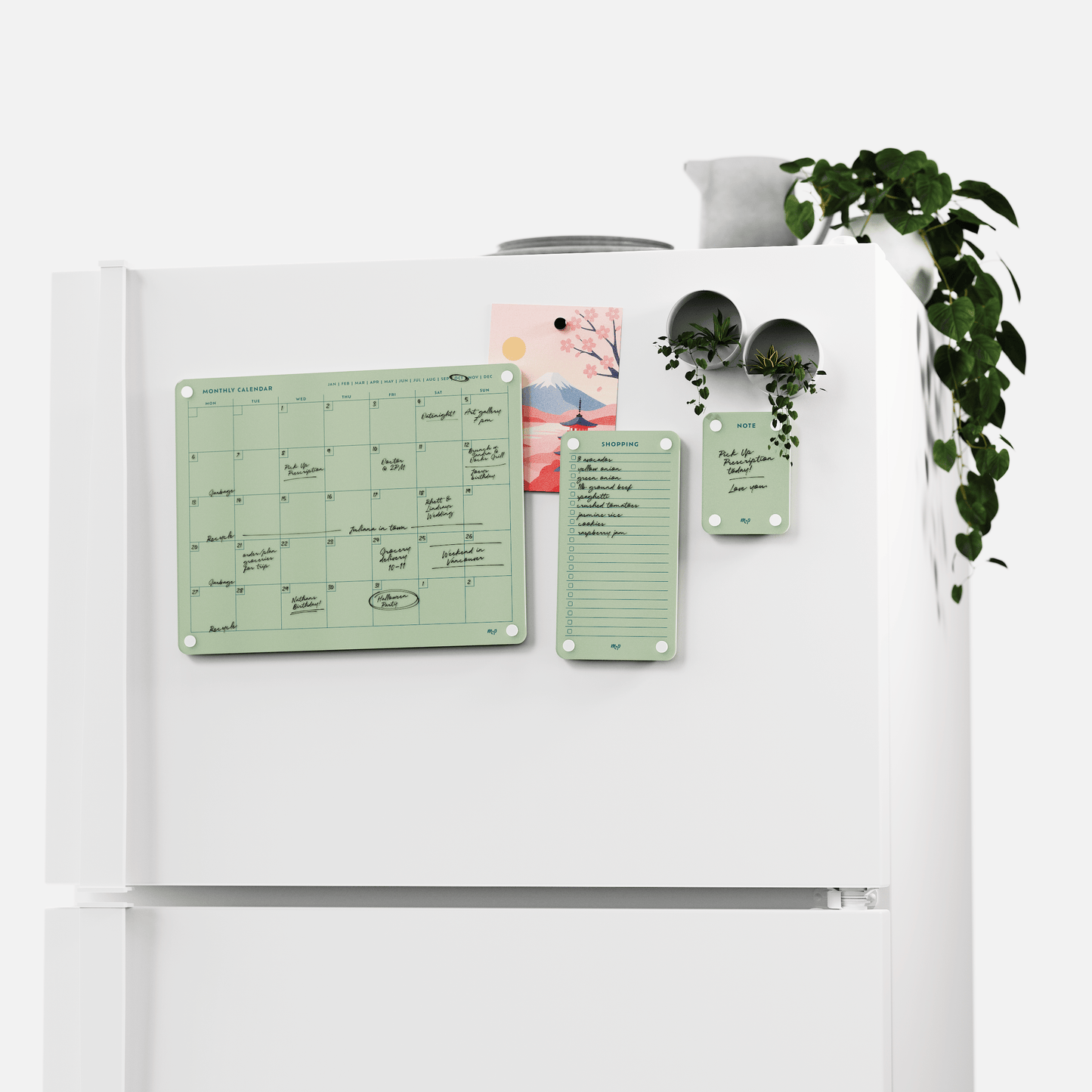 Everyday Home Bundle