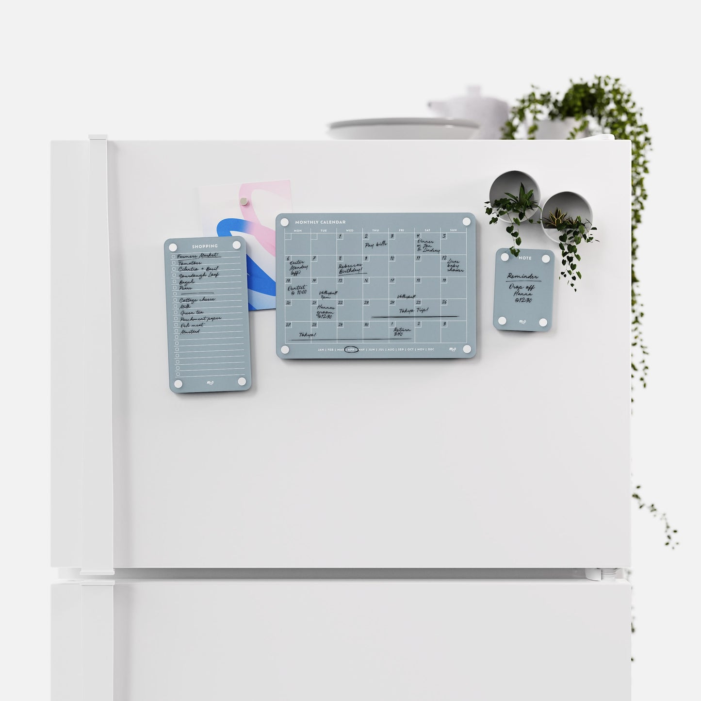 Everyday Home Bundle