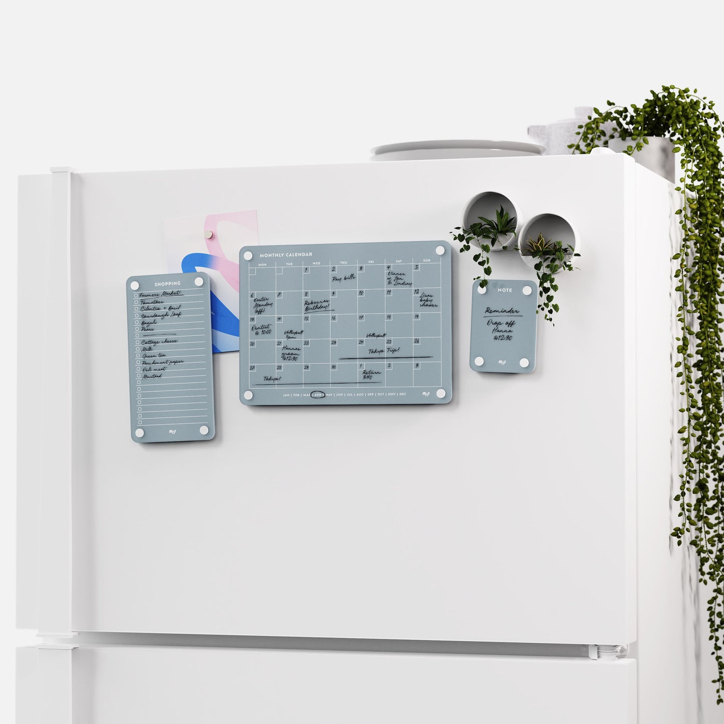 Everyday Home Bundle