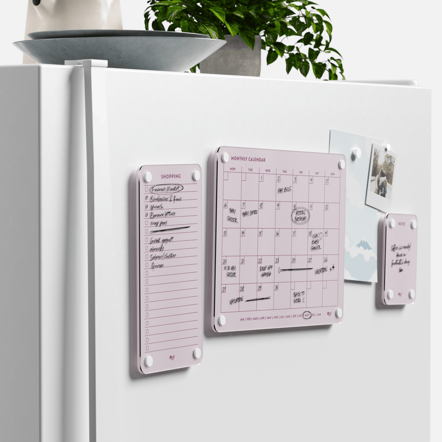 Everyday Home Bundle