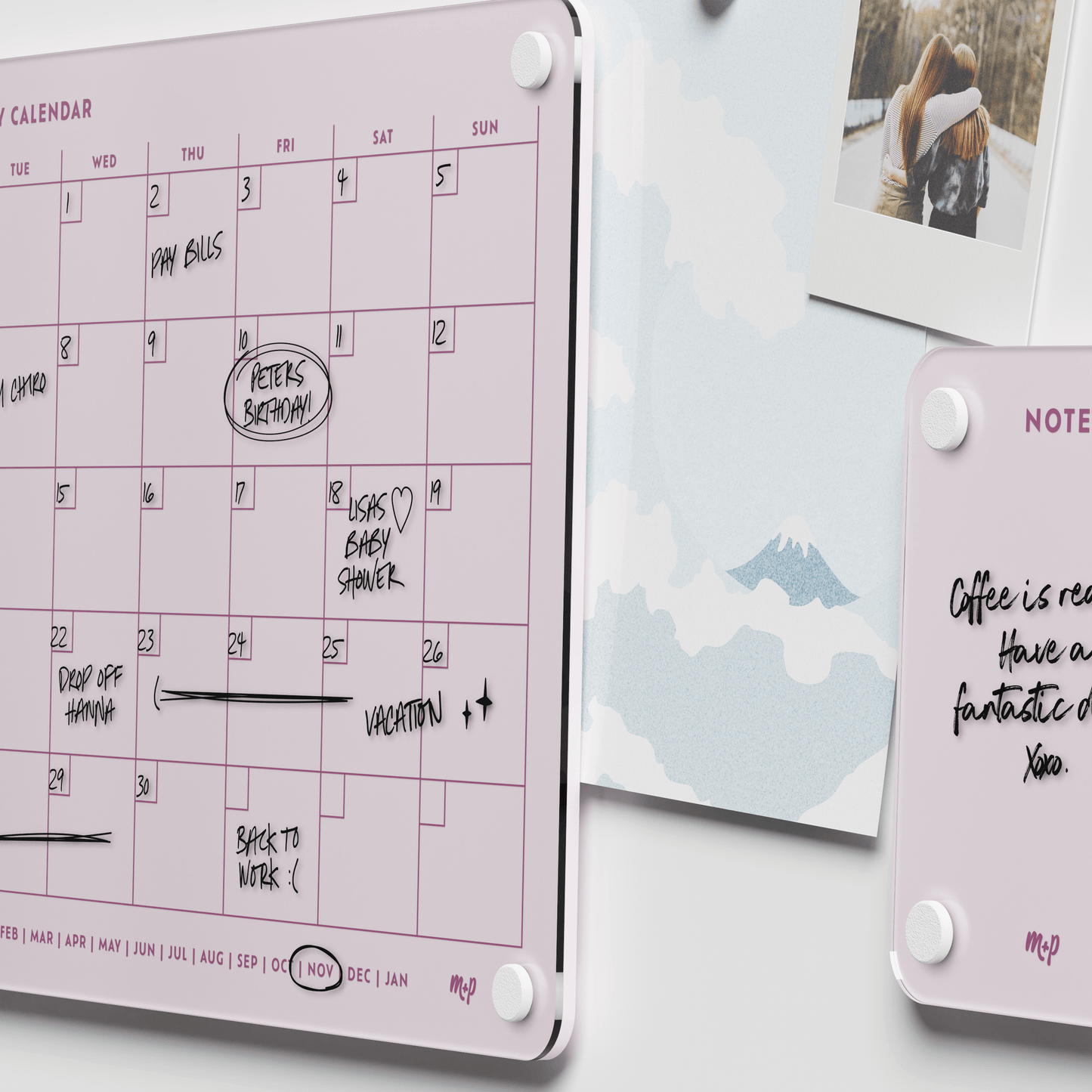 Everyday Home Bundle