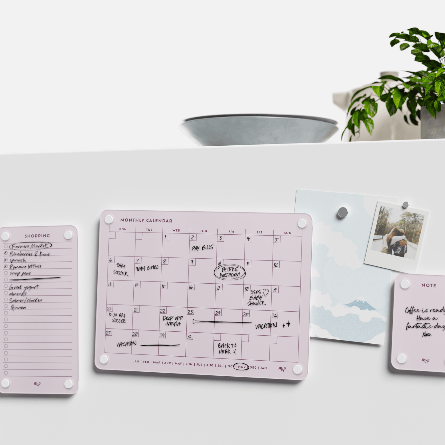 Everyday Home Bundle
