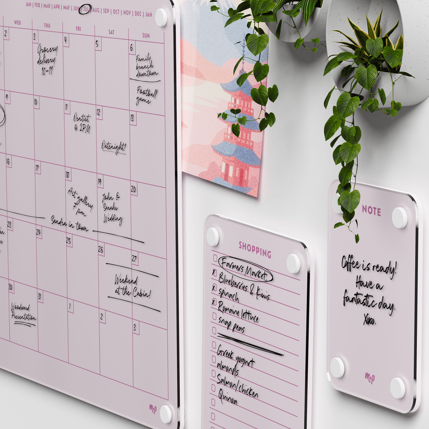 Everyday Home Bundle