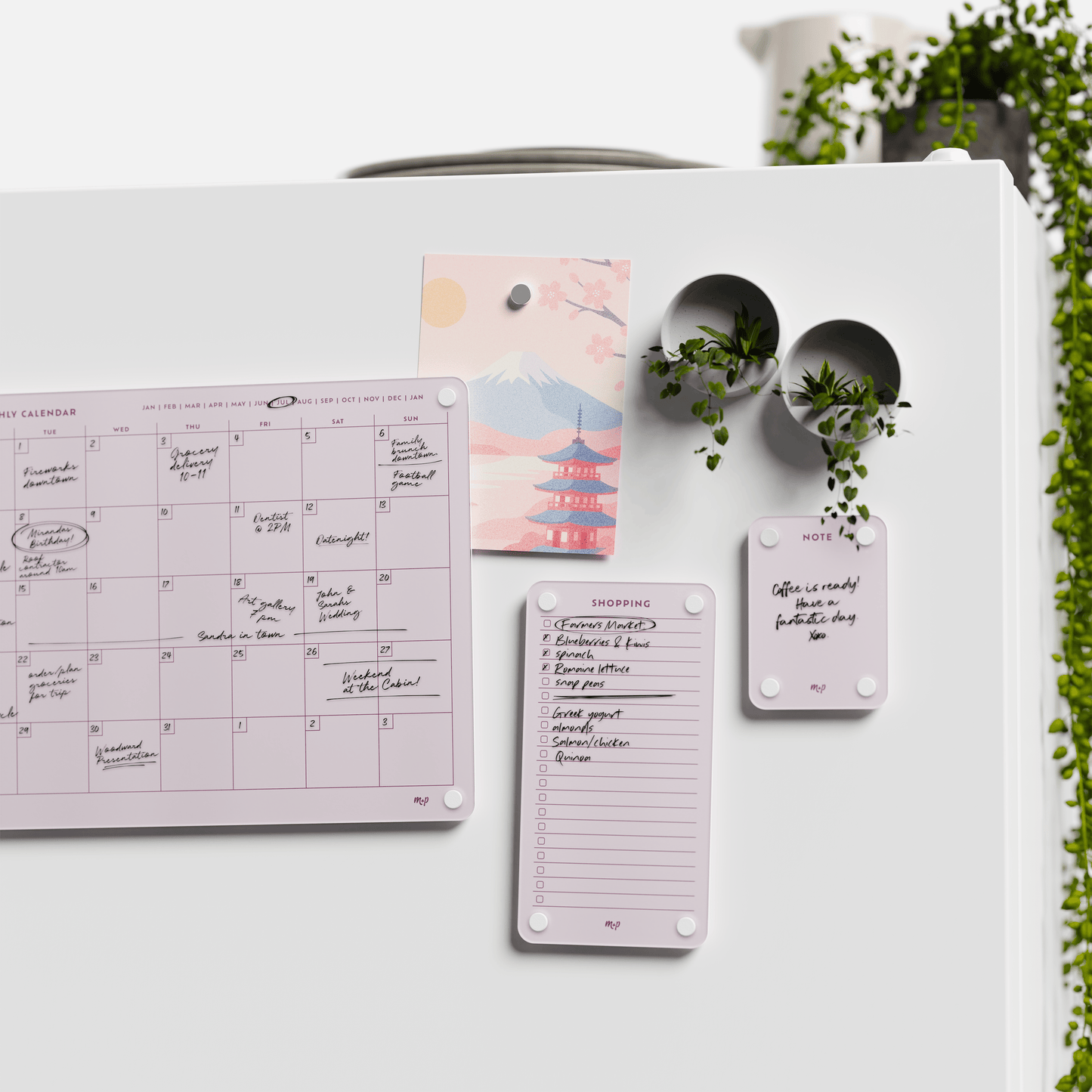 Everyday Home Bundle