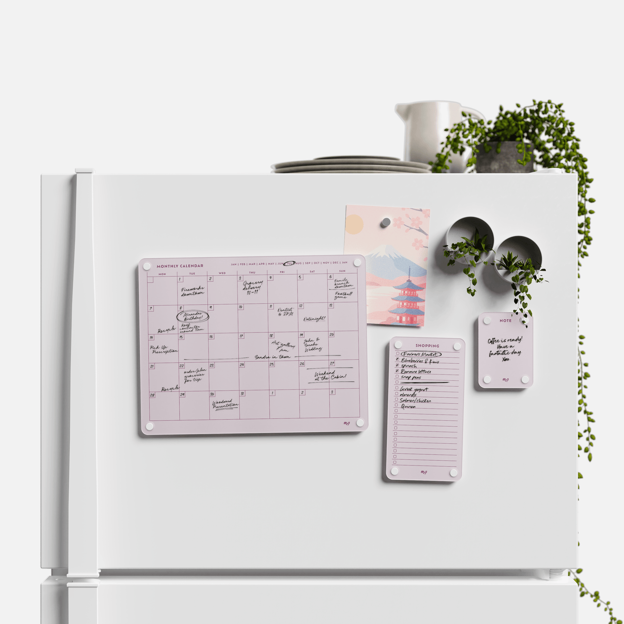Everyday Home Bundle
