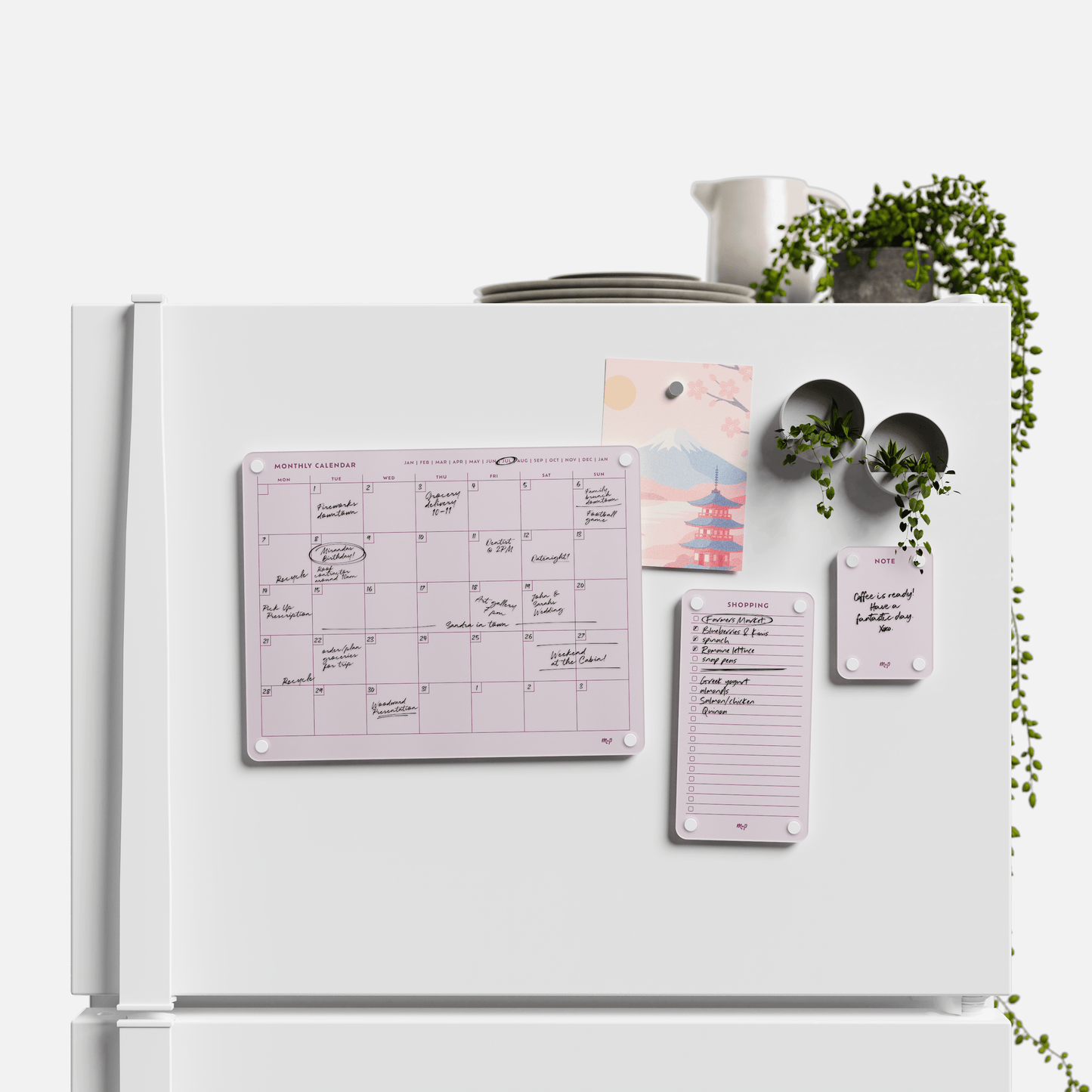 Everyday Home Bundle