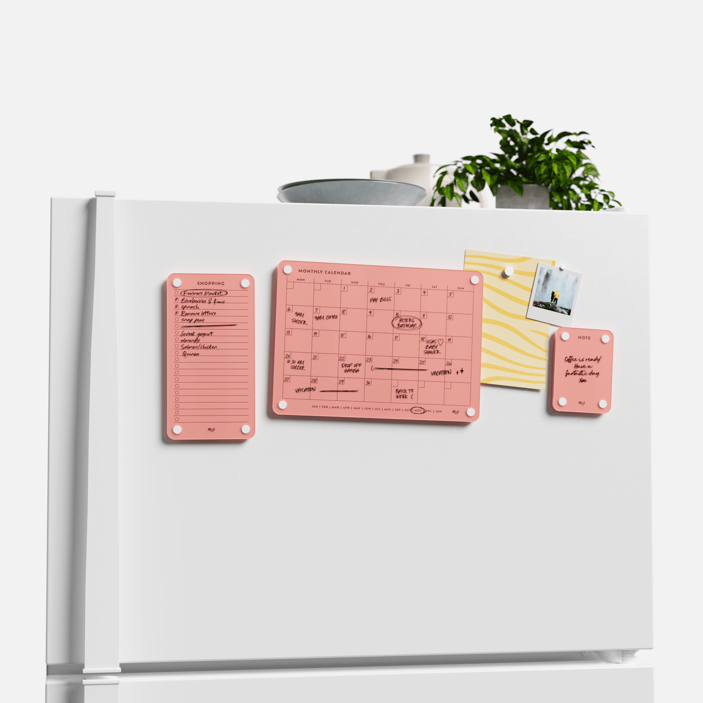 Everyday Home Bundle