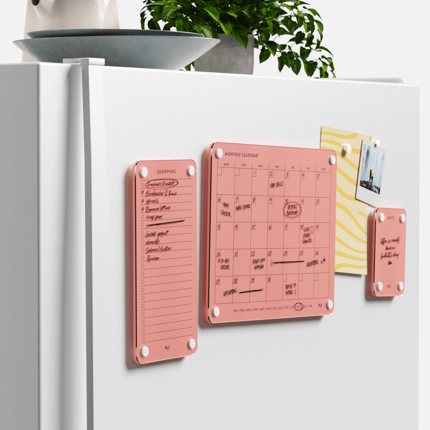 Everyday Home Bundle