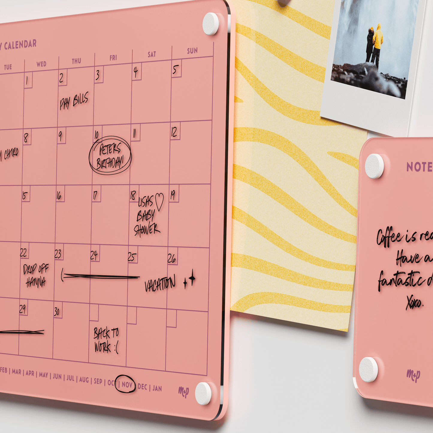 Everyday Home Bundle