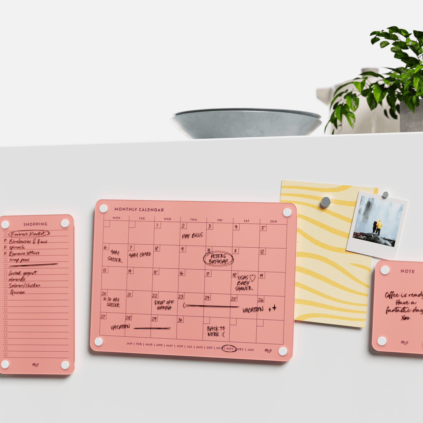 Everyday Home Bundle