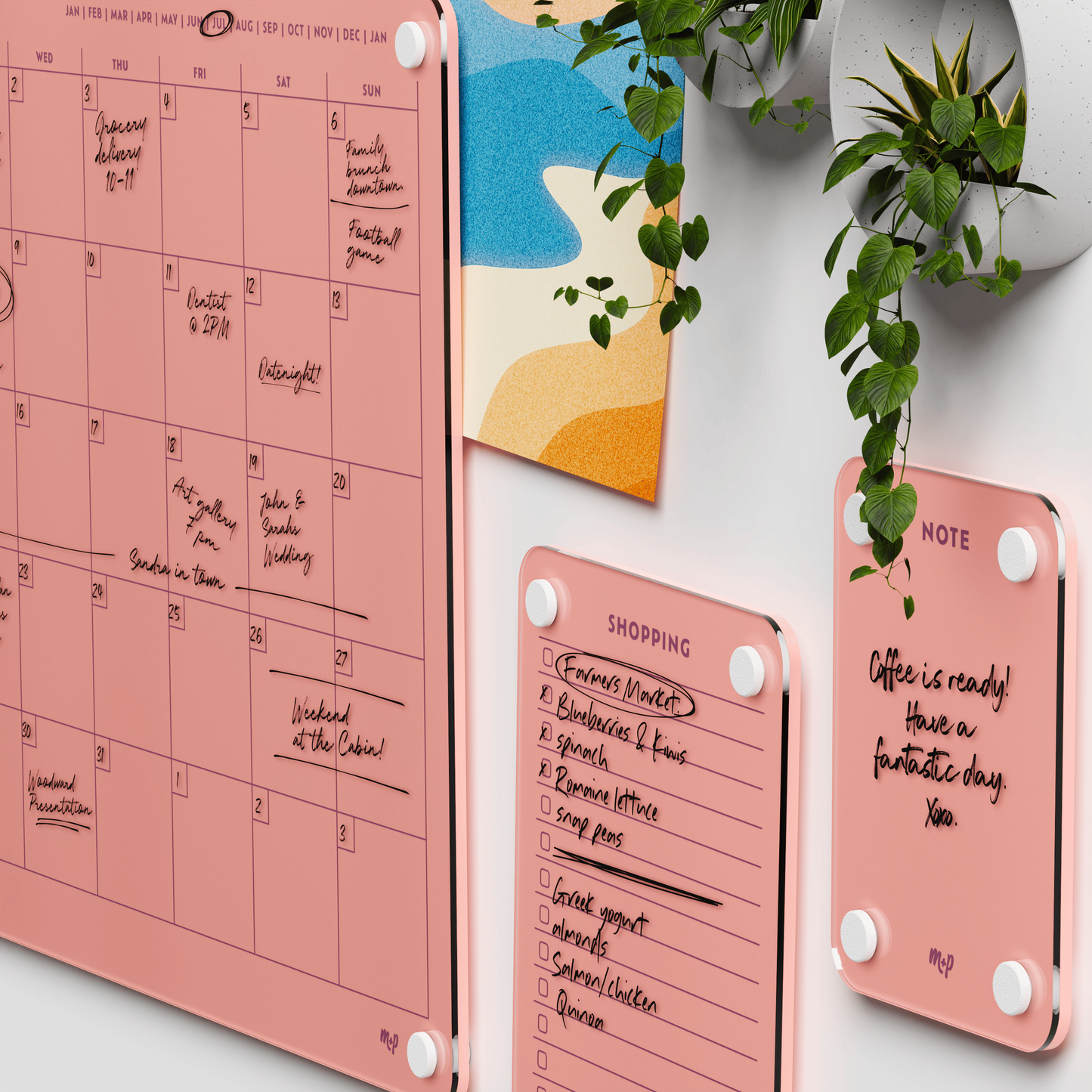 Everyday Home Bundle