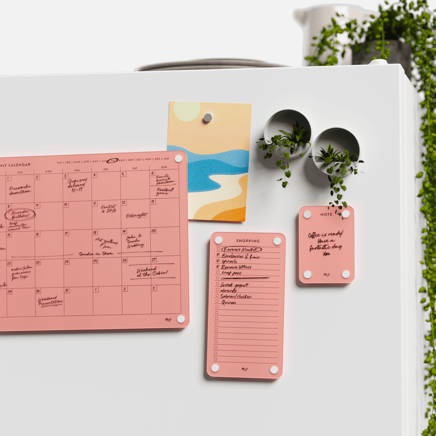 Everyday Home Bundle