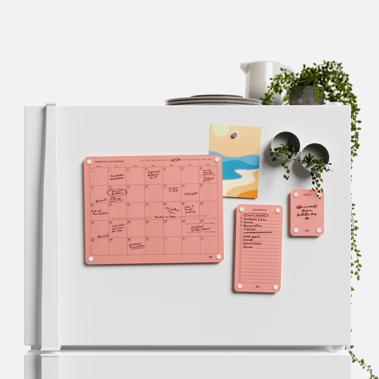 Everyday Home Bundle
