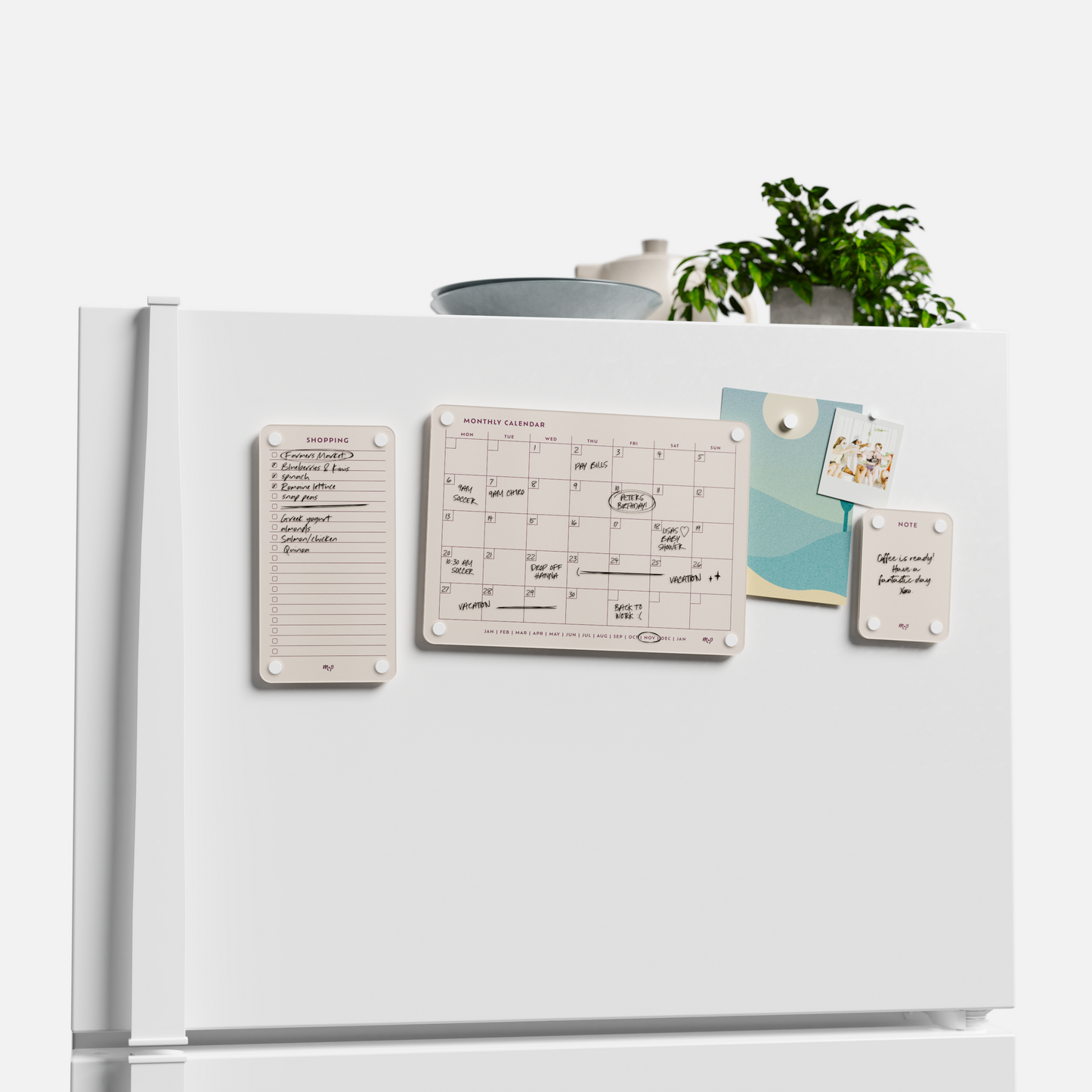 Everyday Home Bundle
