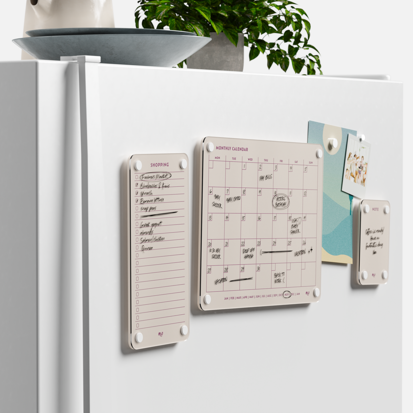 Everyday Home Bundle