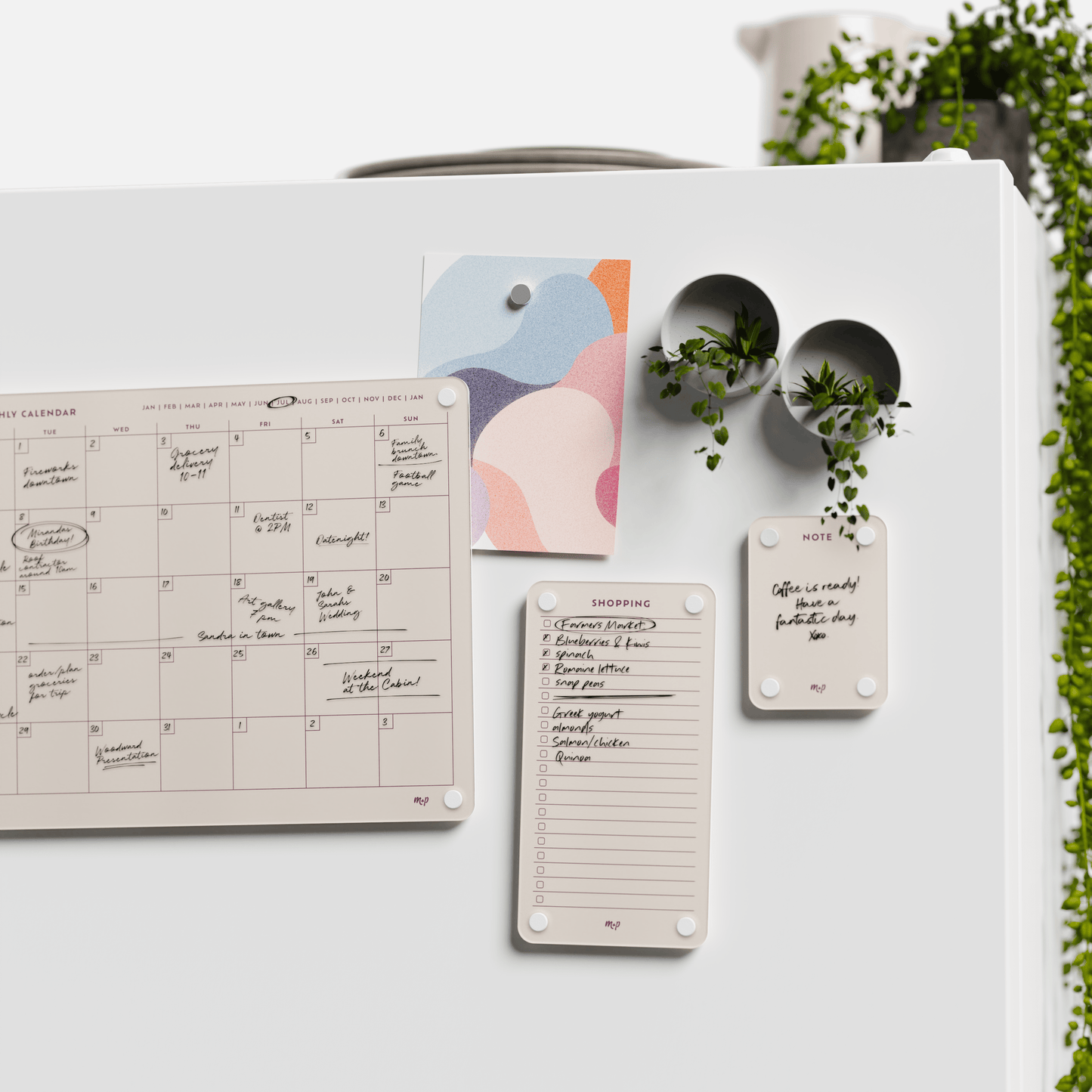 Everyday Home Bundle