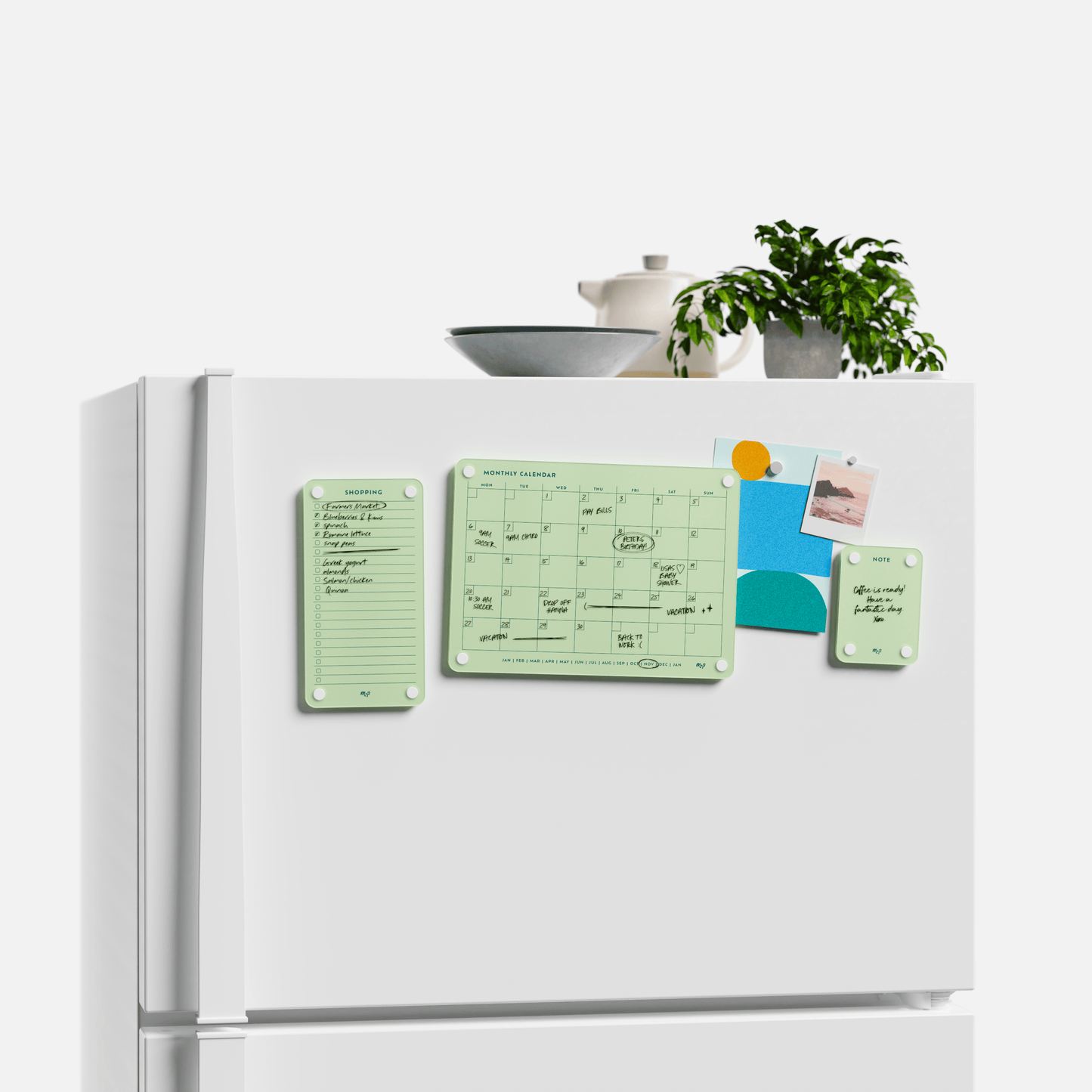 Everyday Home Bundle