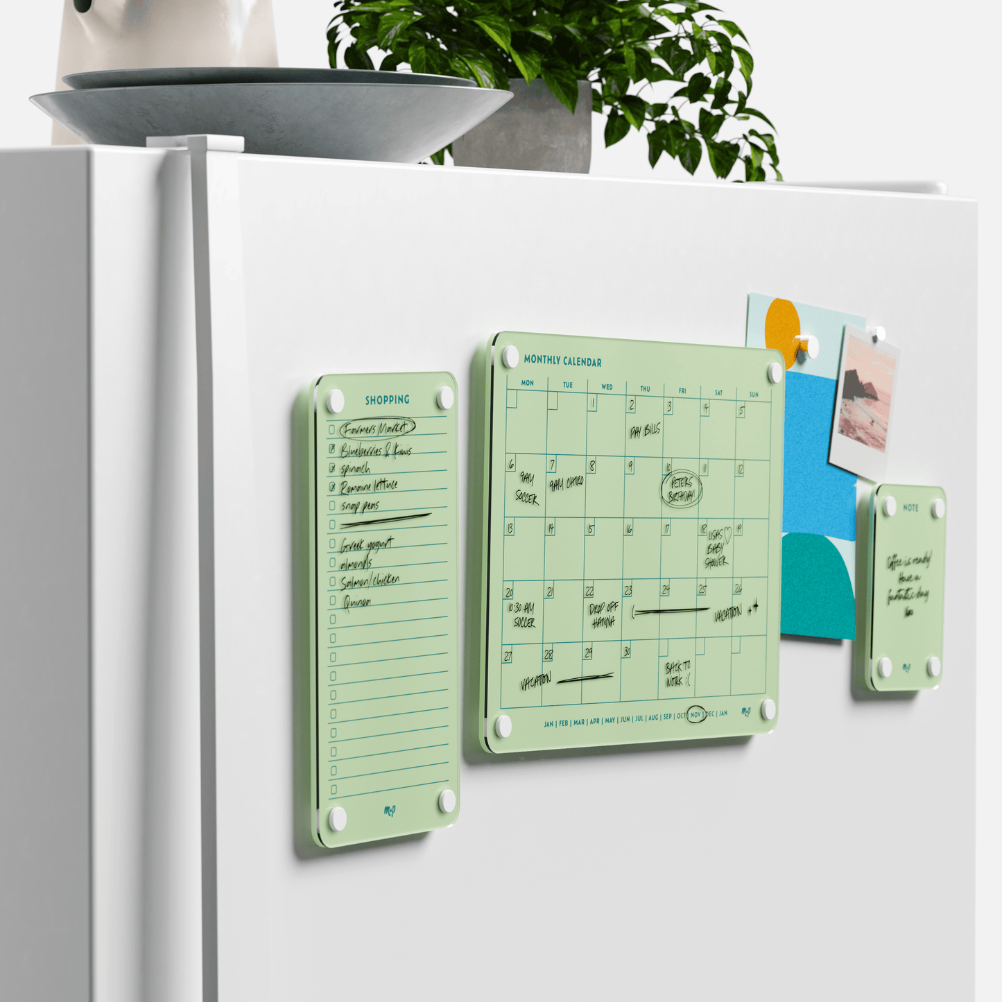 Everyday Home Bundle
