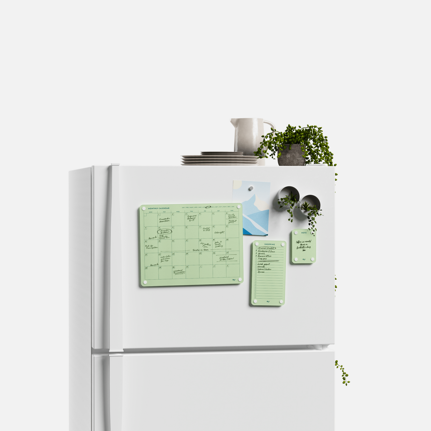 Everyday Home Bundle