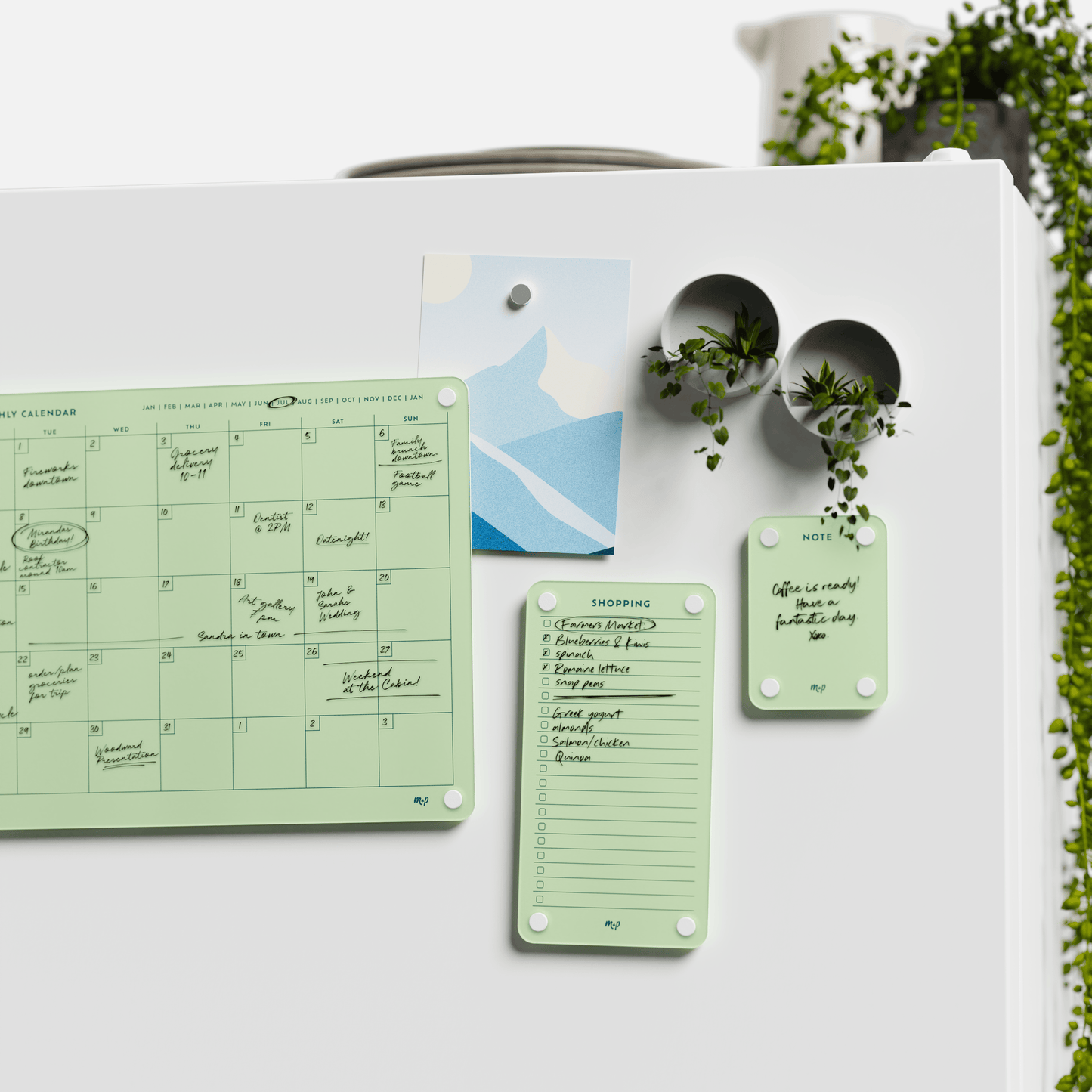 Everyday Home Bundle