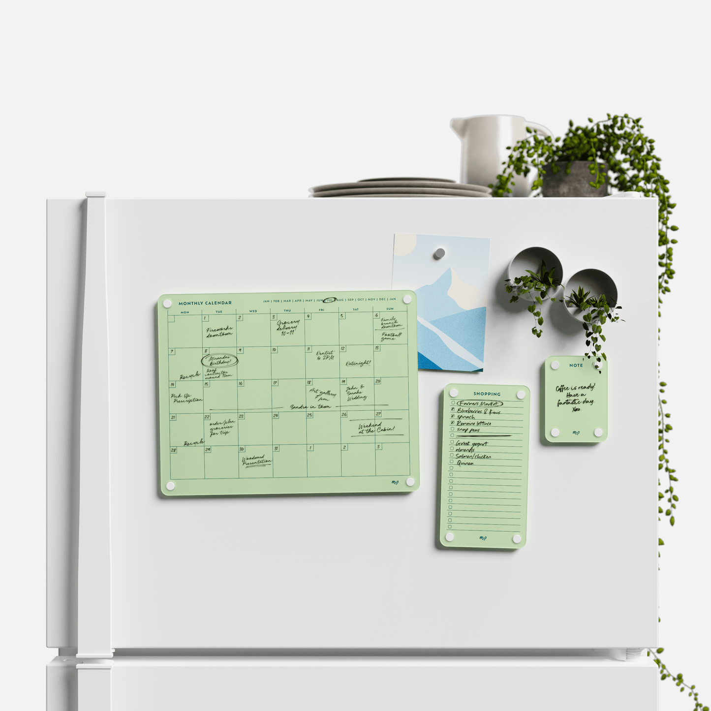 Everyday Home Bundle