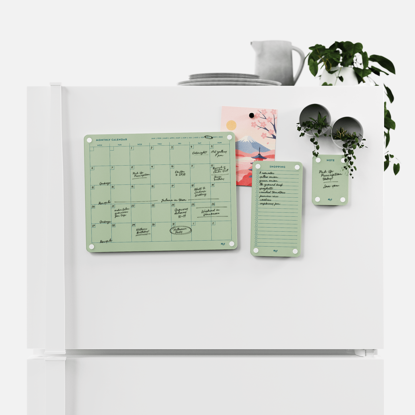 Everyday Home Bundle