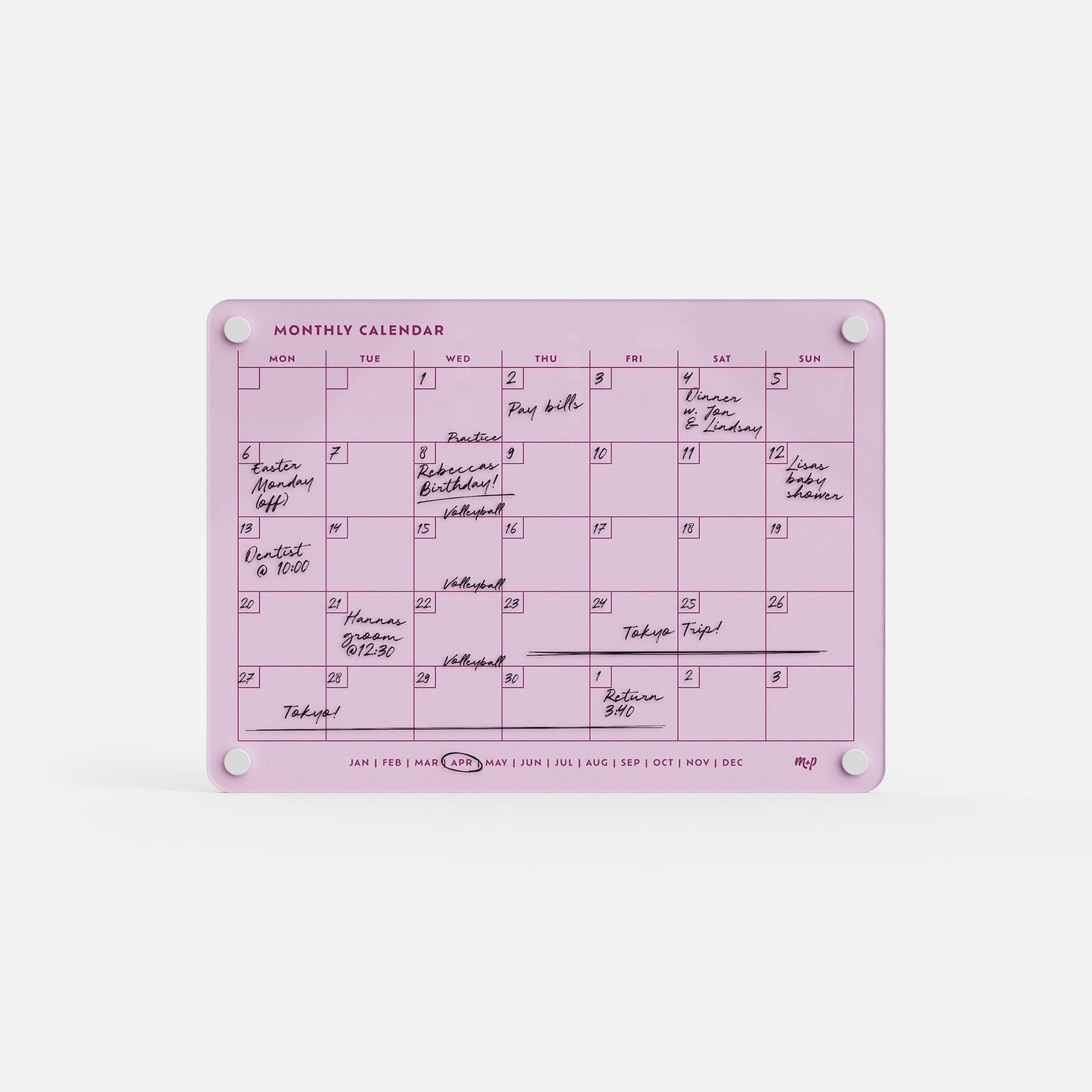 The Monthly Calendar 118 is a compact, ballet pink, reusable monthly planner. It features handwritten events, notes on various dates, days of the week, a row of months along the bottom edge, and is secured at the corners by four round magnets.