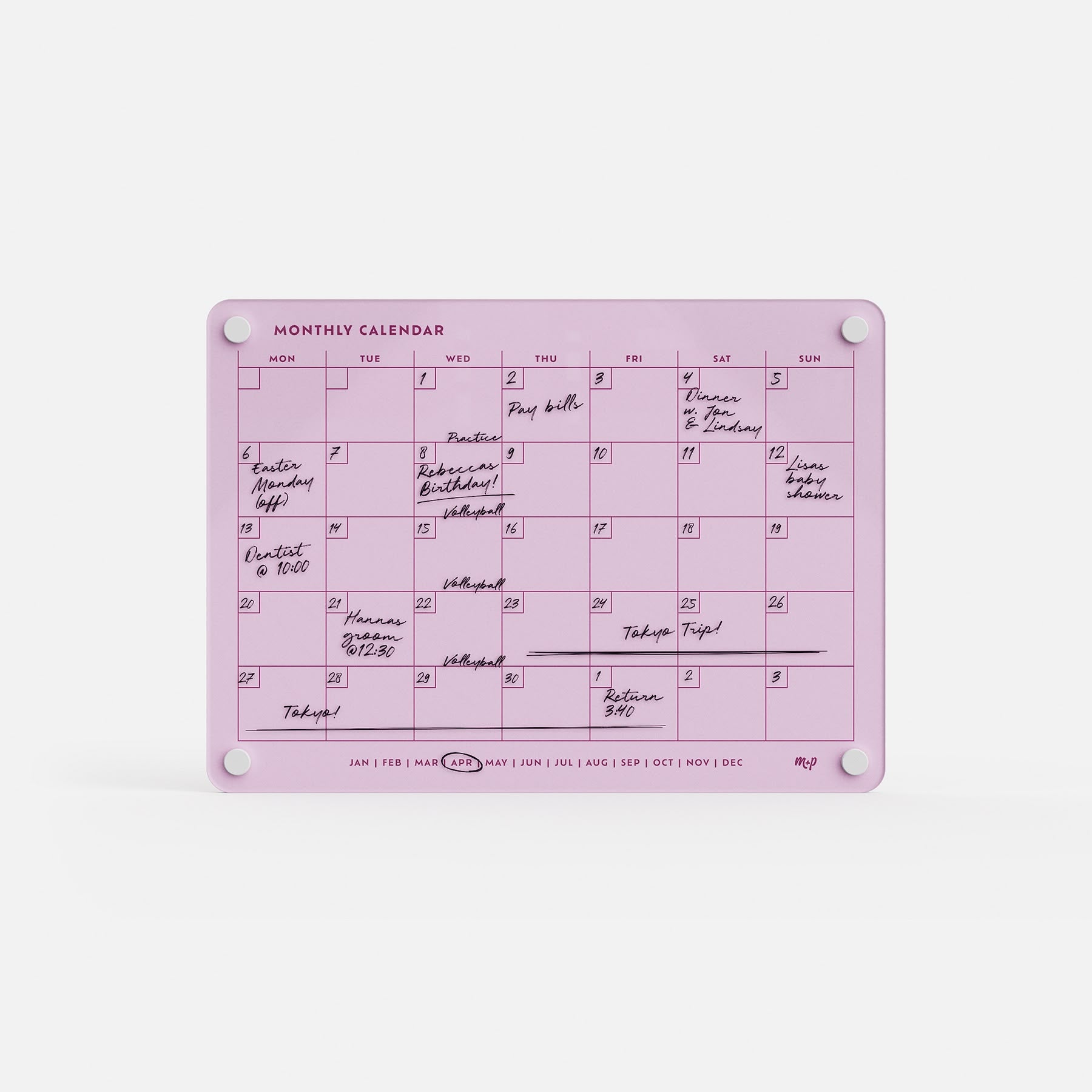 The Monthly Calendar 118 is a compact, ballet pink, reusable monthly planner. It features handwritten events, notes on various dates, days of the week, a row of months along the bottom edge, and is secured at the corners by four round magnets.