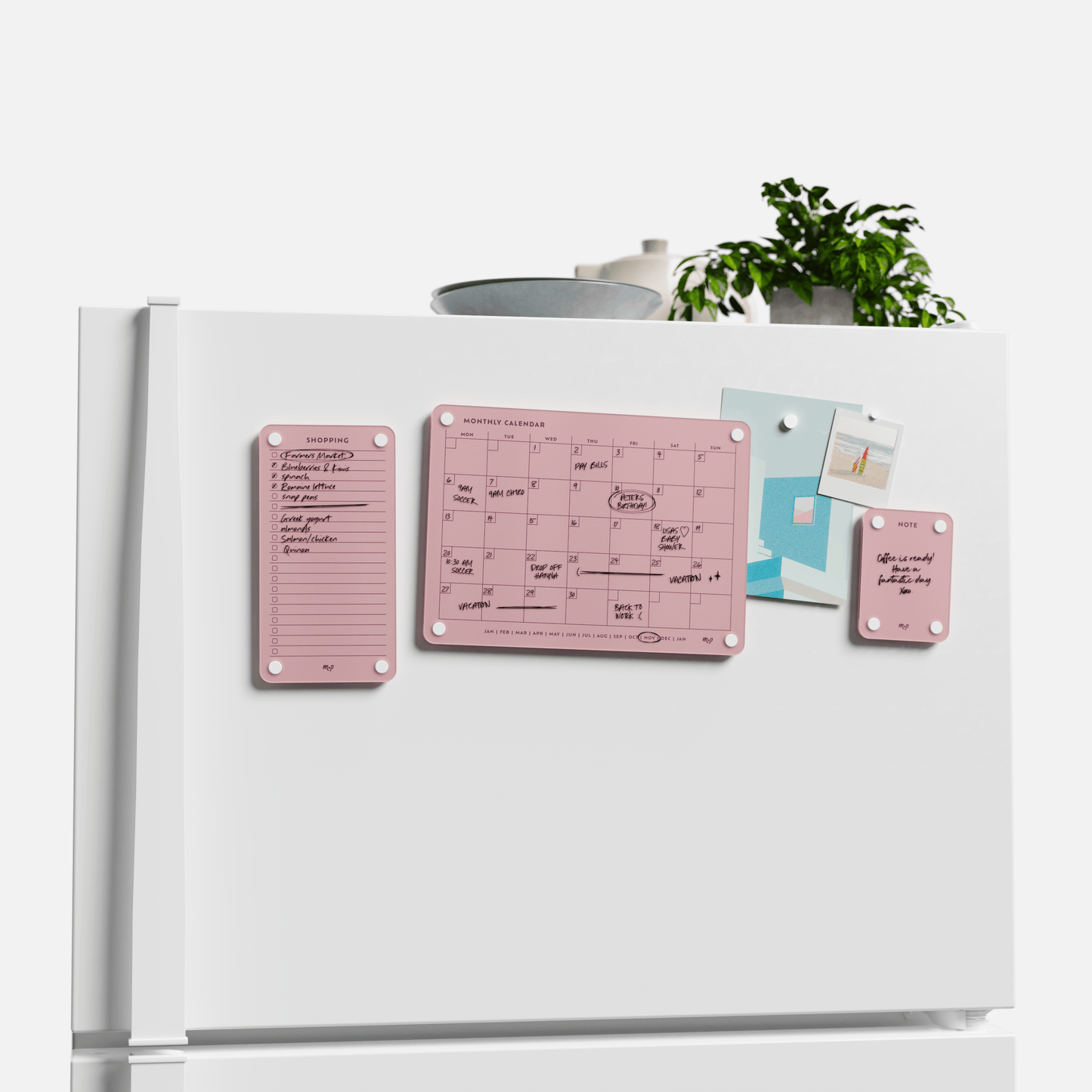 Everyday Home Bundle