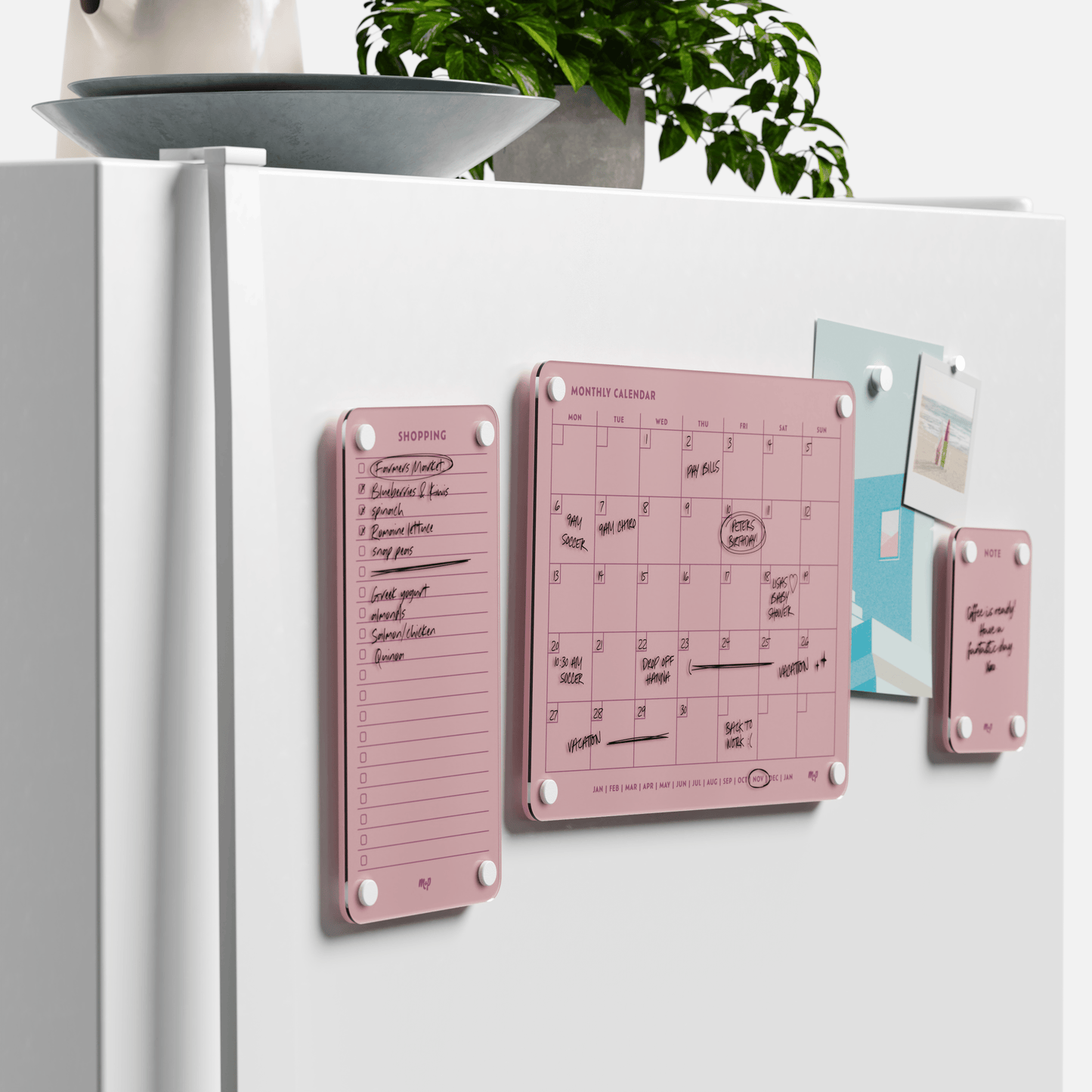 Everyday Home Bundle
