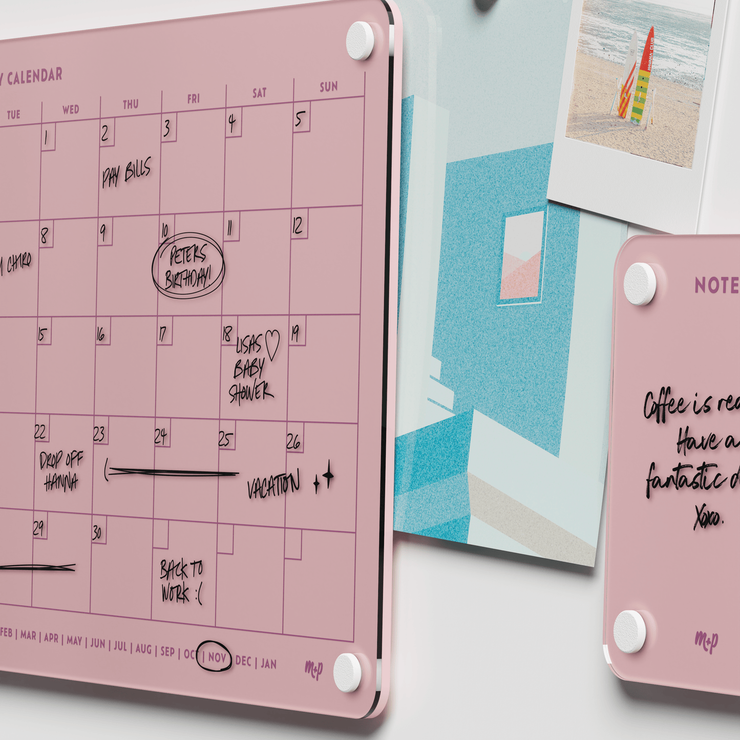 Everyday Home Bundle
