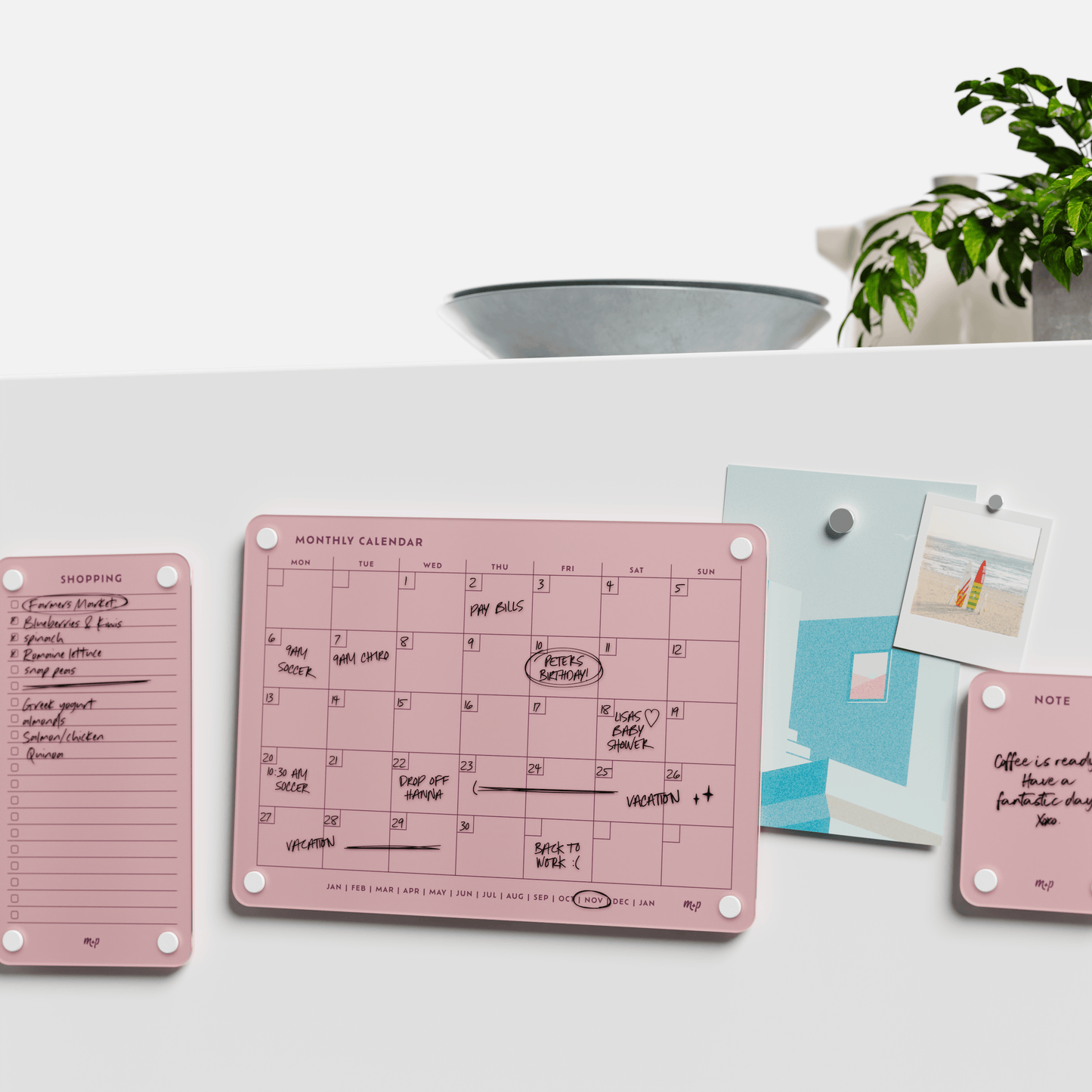 Everyday Home Bundle