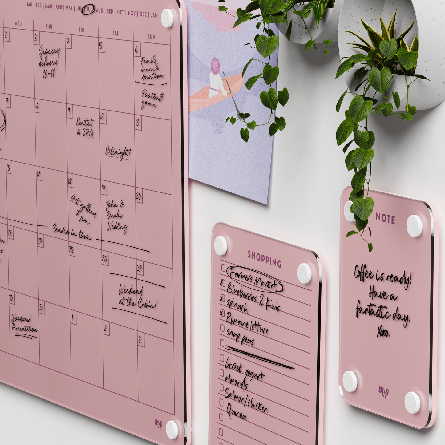 Everyday Home Bundle