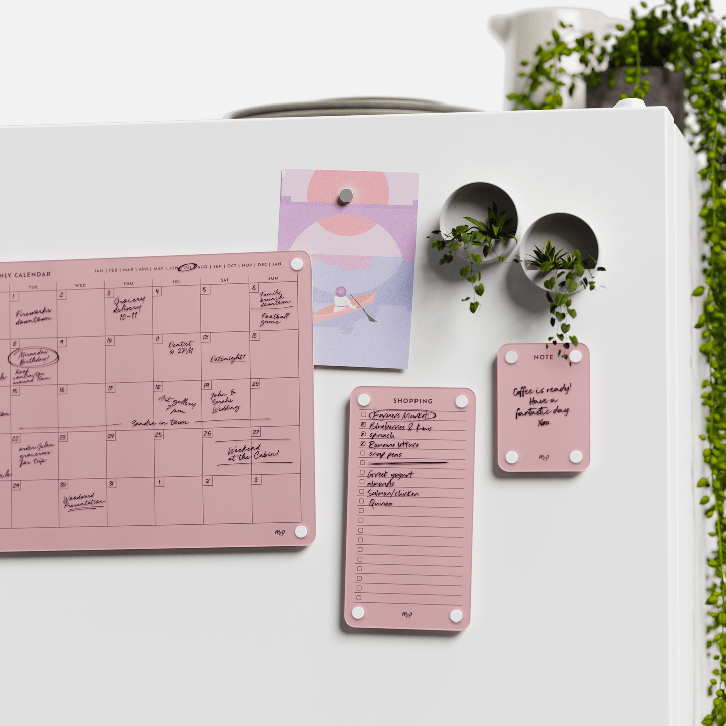 Everyday Home Bundle