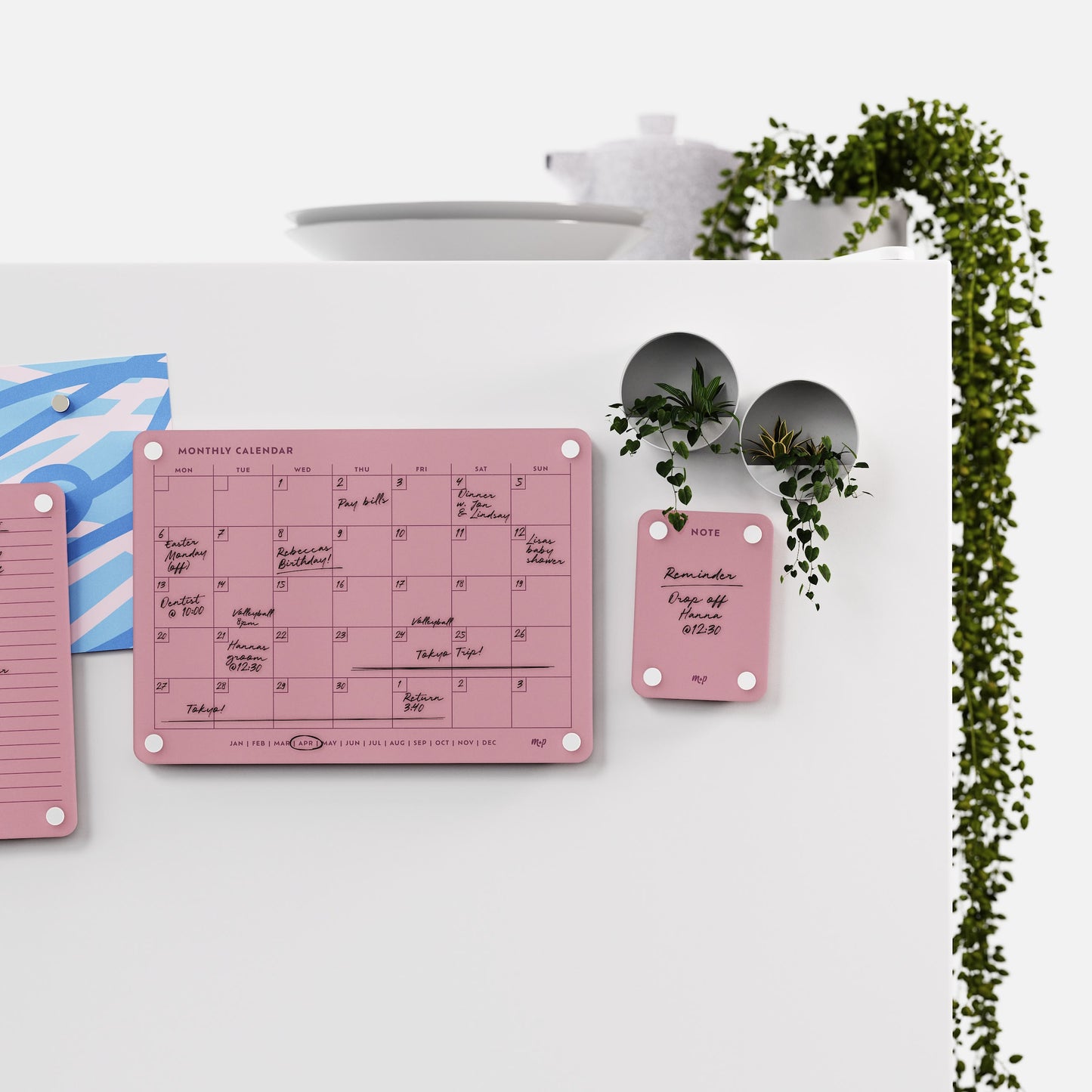 Everyday Home Bundle