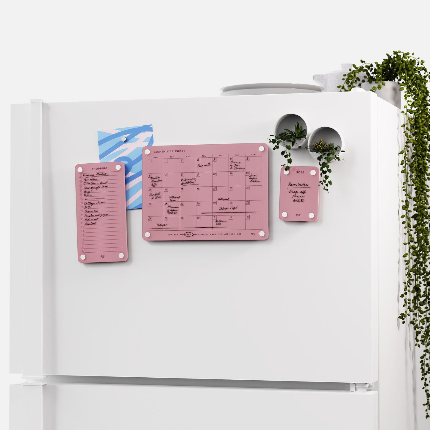 Everyday Home Bundle