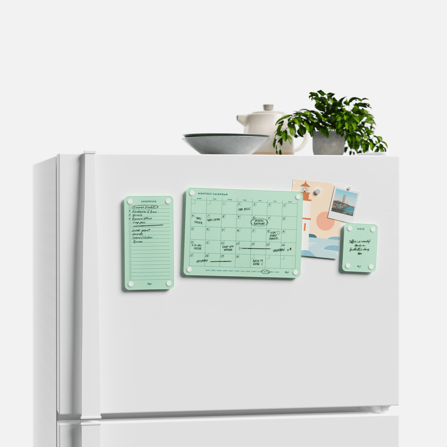 Everyday Home Bundle