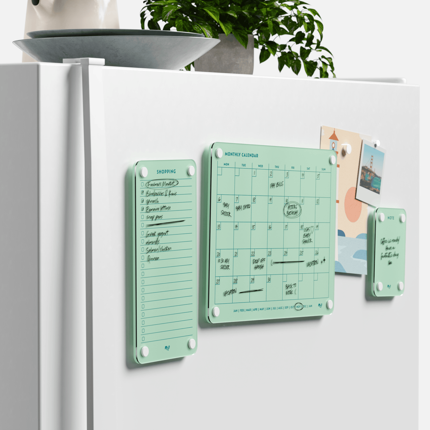 Everyday Home Bundle