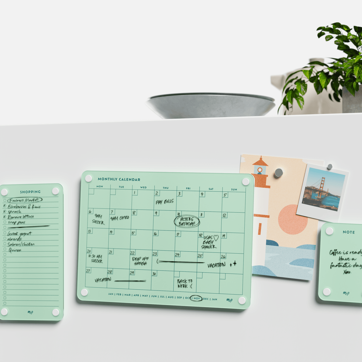Everyday Home Bundle