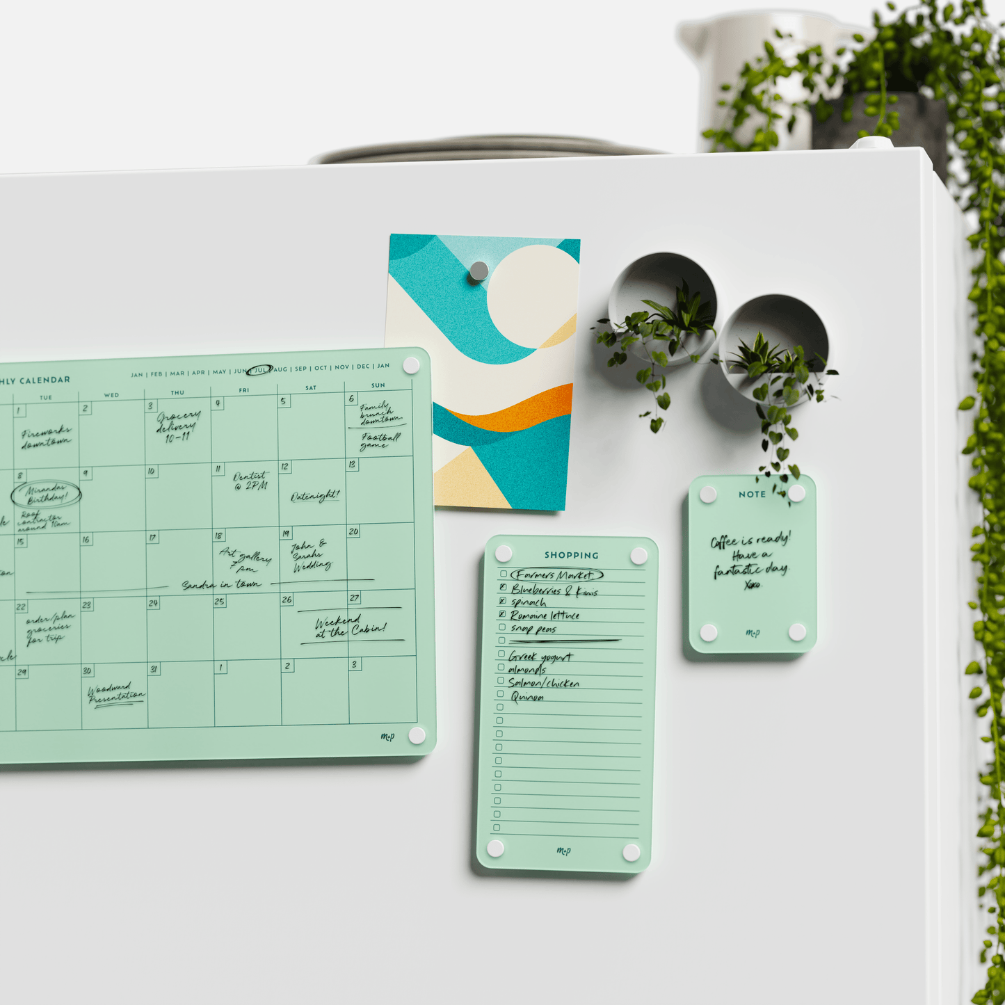 Everyday Home Bundle