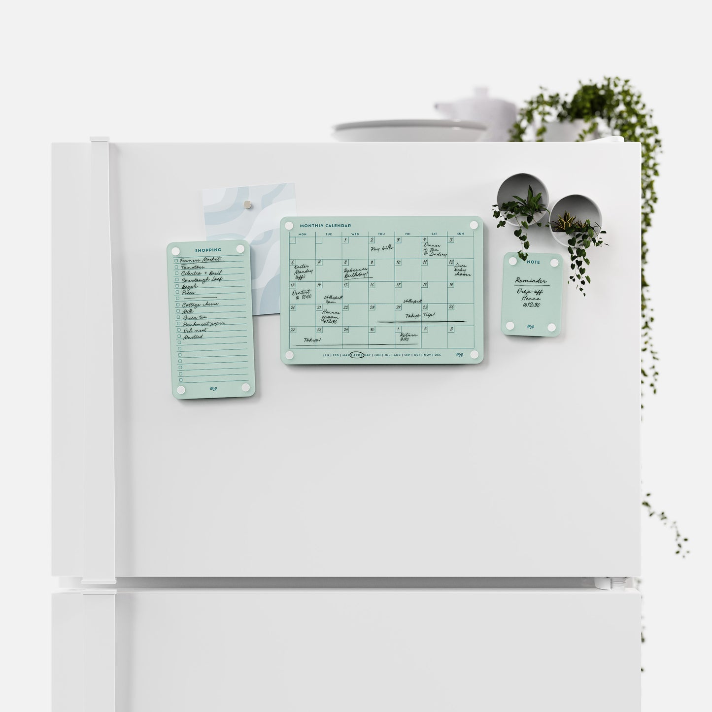 Everyday Home Bundle