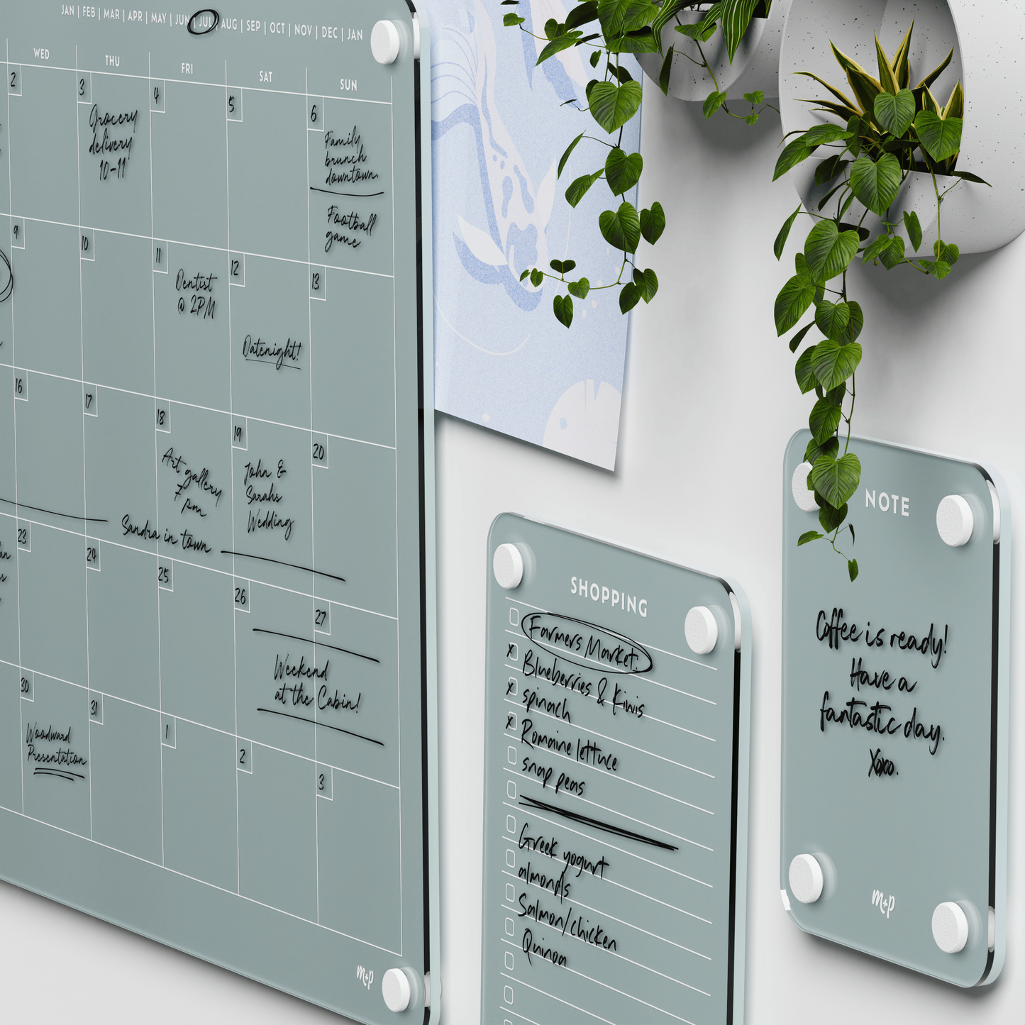 Everyday Home Bundle