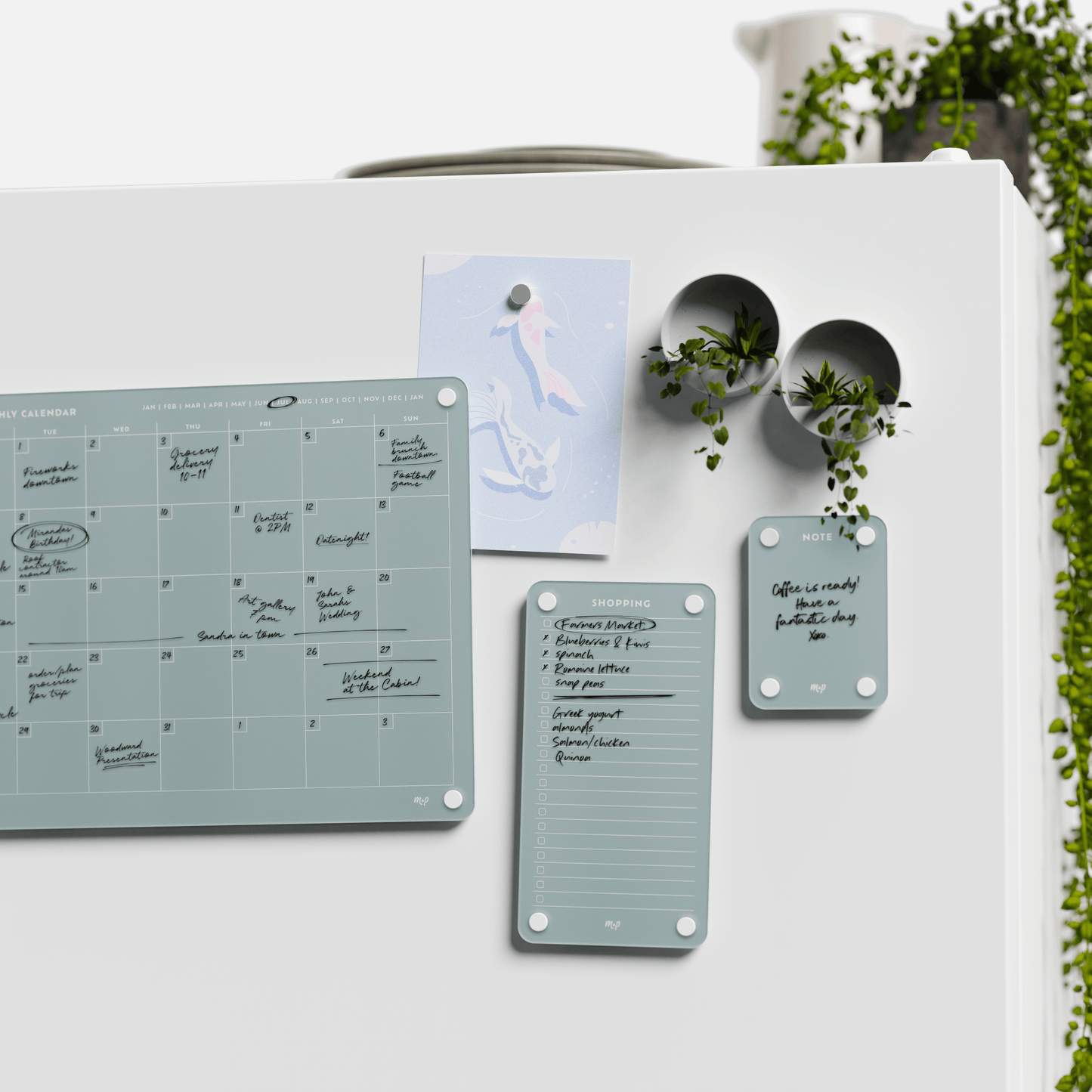 Everyday Home Bundle