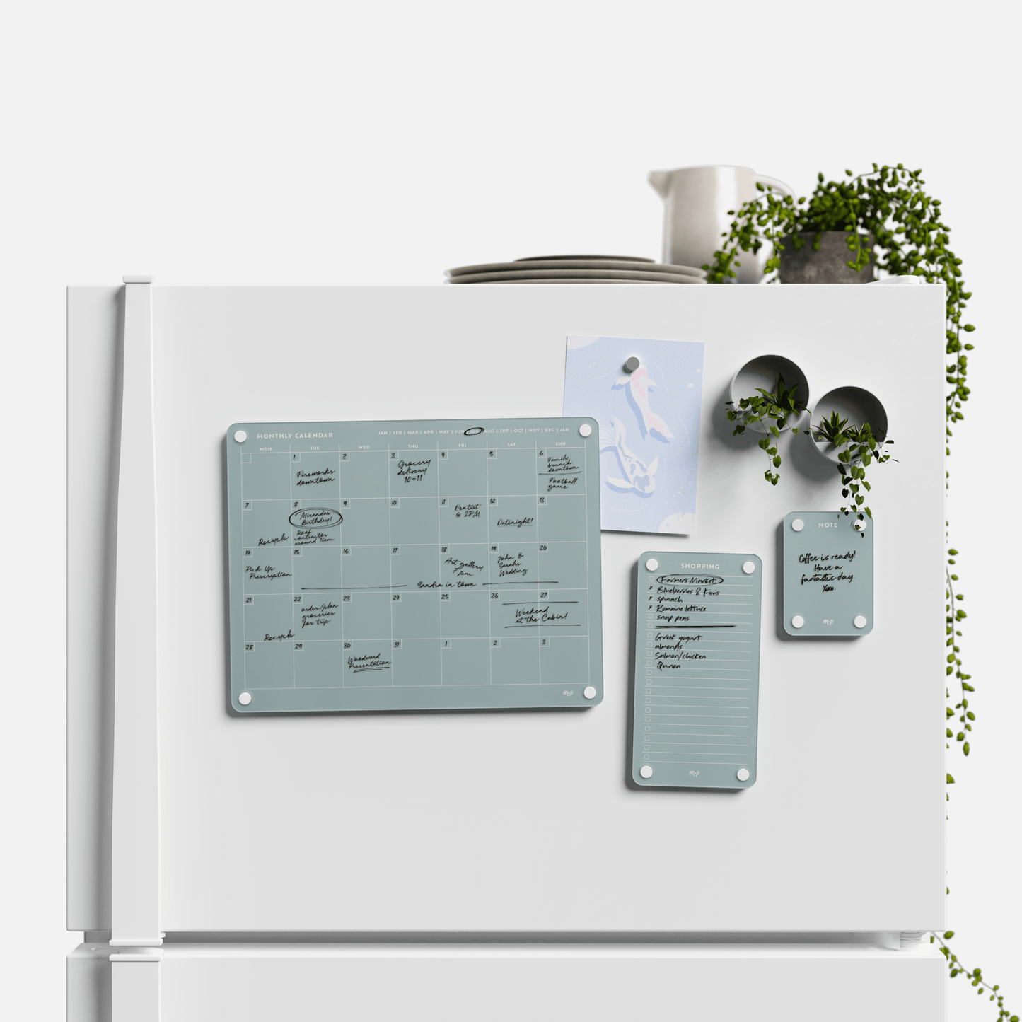 Everyday Home Bundle