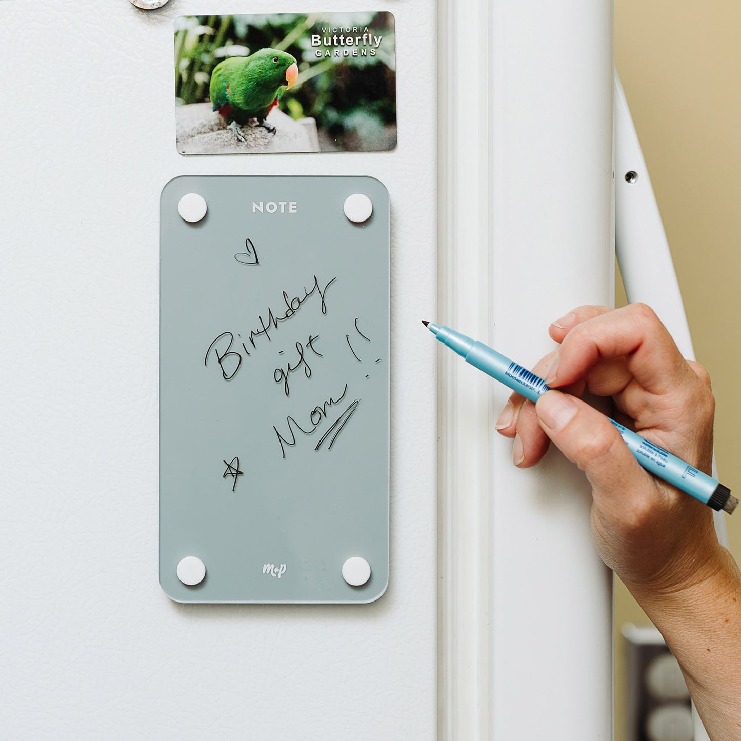A hand writes “Birthday gift for Mom!!” with a pen on the gray Monkey and Pebbles Tall Note 47 magnetic note board on a fridge. Above is a green parrot magnet labeled Butterfly Garden. Great for lists or reminders.