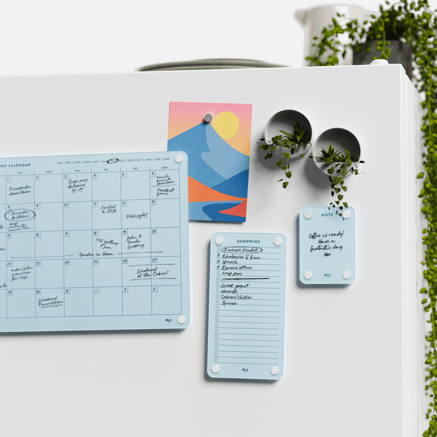 Everyday Home Bundle