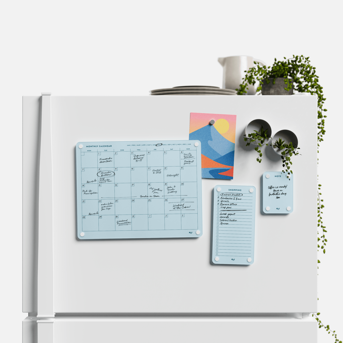 Everyday Home Bundle